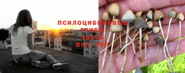 альфа пвп Пересвет