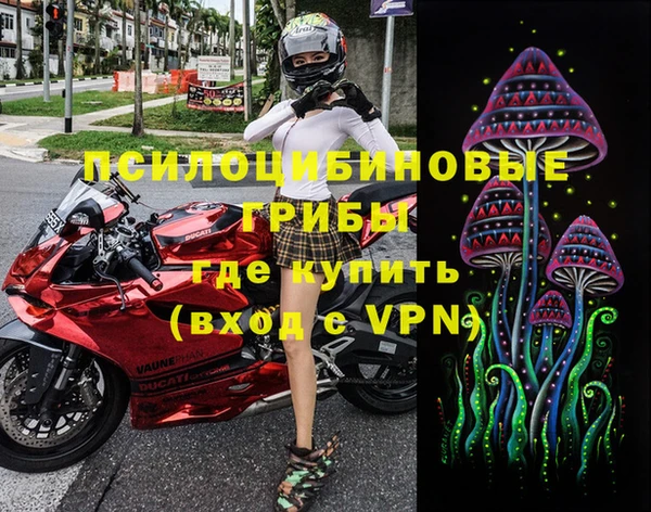 apvp Пестово