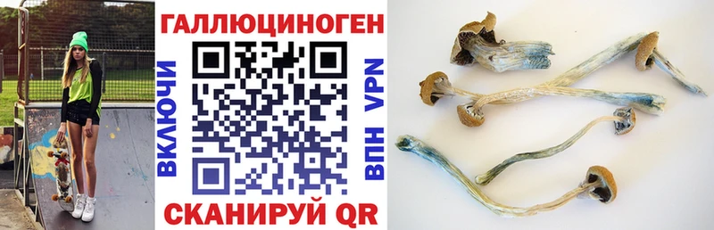 Галлюциногенные грибы GOLDEN TEACHER Нижний Тагил