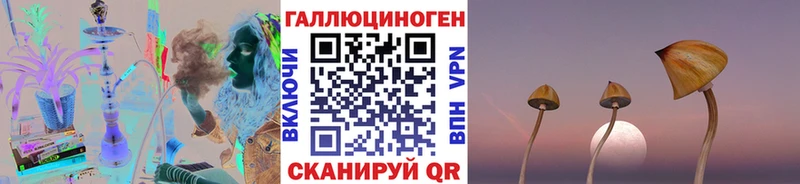 Псилоцибиновые грибы GOLDEN TEACHER  Купить где  Нижний Тагил 