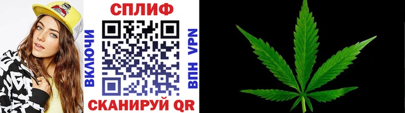 Конопля конопля  Купить закладки  Нижний Тагил 